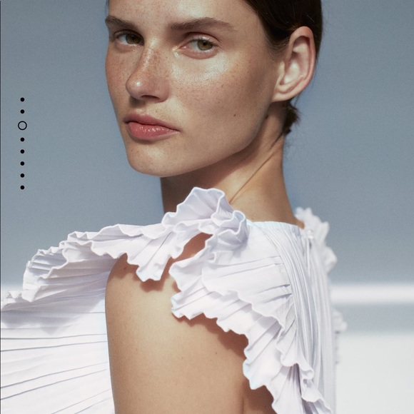 Zara pleated dress bloggers favorite - Picture 11 of 13